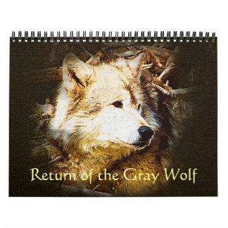 Calendrier Mural Retour du loup gris