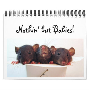 Calendrier Mural Rien mais bébés !