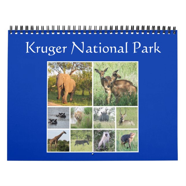 Calendrier Mural safari kruger (Protection)