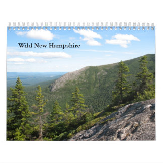 Calendrier mural sauvage standard de 2013 New