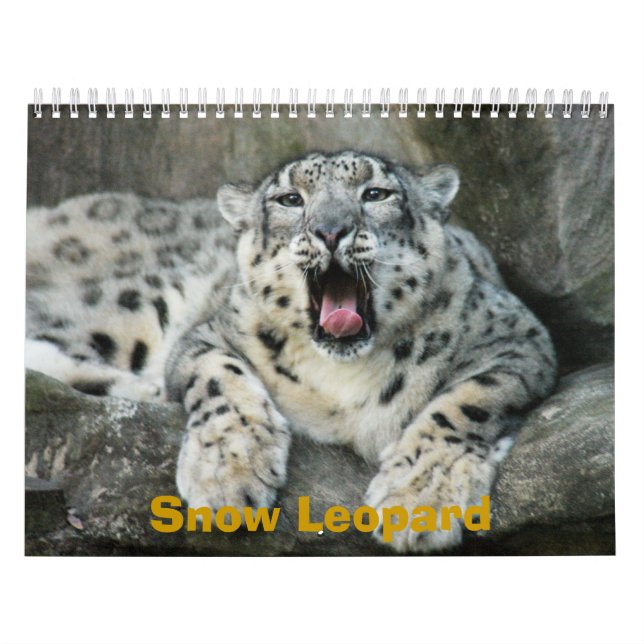 Calendrier Mural SnowLeopardBCR007, léopard de neige (Protection)