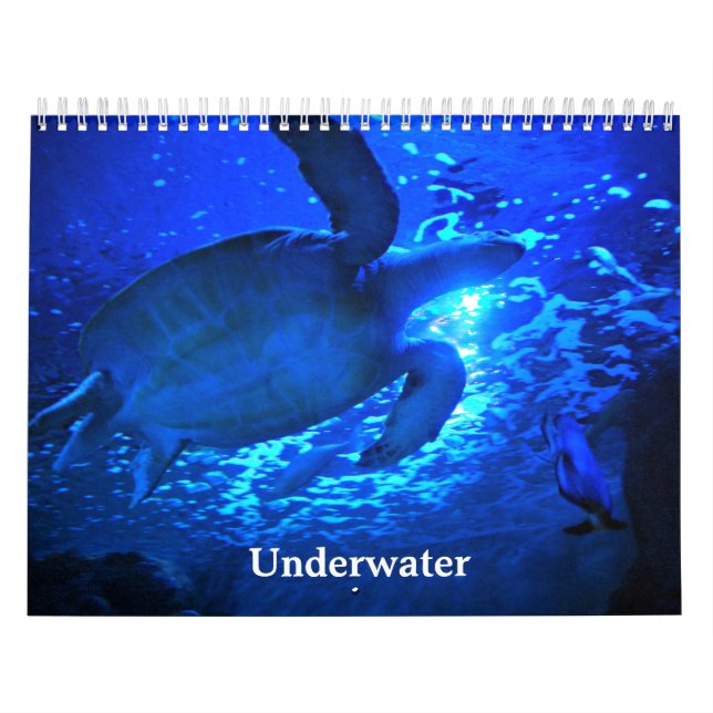 Calendrier Mural Sous-marin (Protection)