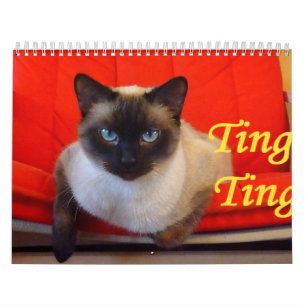 Calendrier Mural Teintez teintent le chat siamois