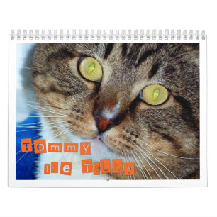 Calendrier Mural Tommy le chat tigré