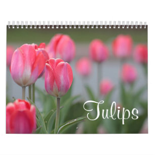 Calendrier Mural Tulipes