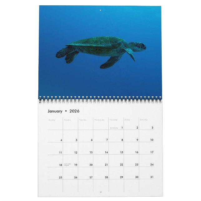 Calendrier Mural Turtles of the Coral Sea Calendar 2015 (Jan 2026)