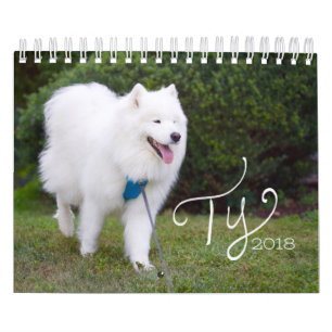 Calendrier Mural Ty 2018