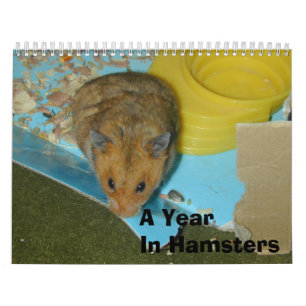 Calendrier Mural Une année chez les hamsters 2010