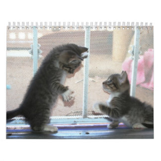 Calendrier Mural Une année des fuzzybutts