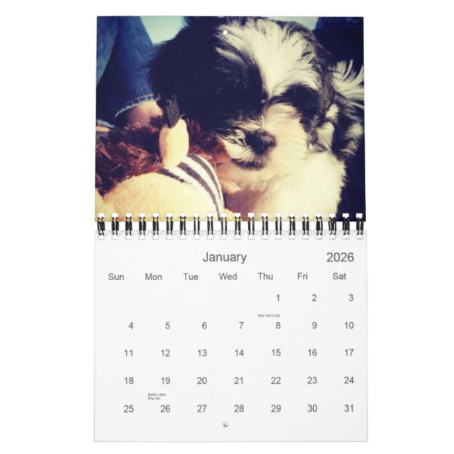 Calendrier Mural Une dose quotidienne de panda (Jan 2026)