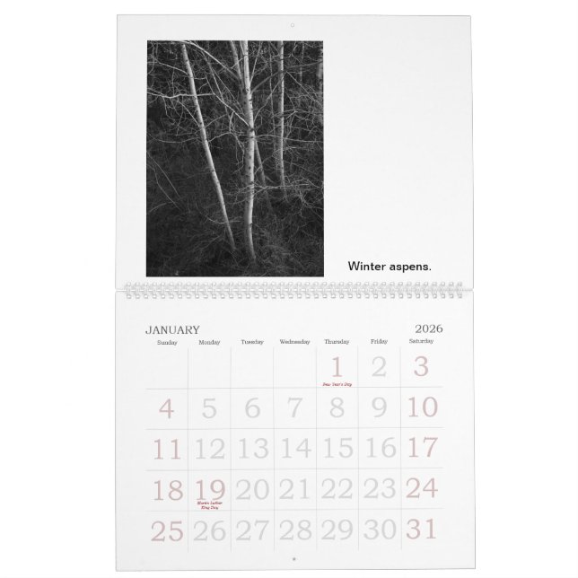 Calendrier Mural Vies et morts des arbres (Jan 2026)