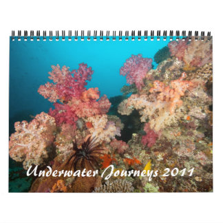 Calendrier Mural Voyages sous-marins 2011