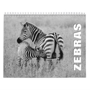 Calendrier mural Zebras