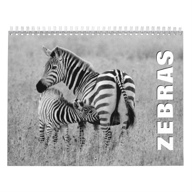 Calendrier mural Zebras (Protection)