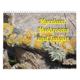 Calendrier Mycélium, champignons et champignons