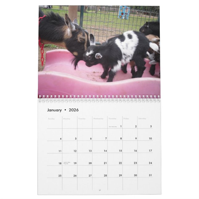 calendrier nain nigérien de la chèvre 2014 (Jan 2026)