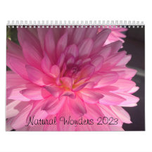 Natural merveille Deux pages MediumCalendar, blanc