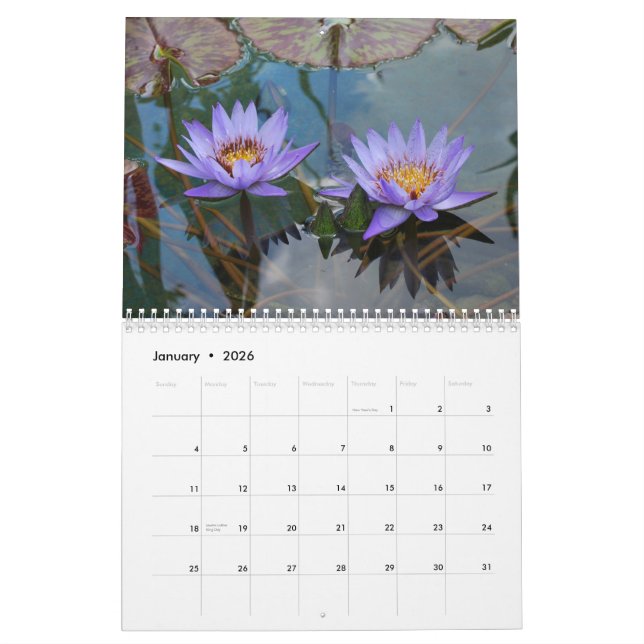 Calendrier Nature 2013 (Jan 2026)