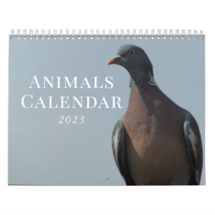 Calendrier Nature animale 2023