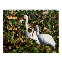 Nature en Floride