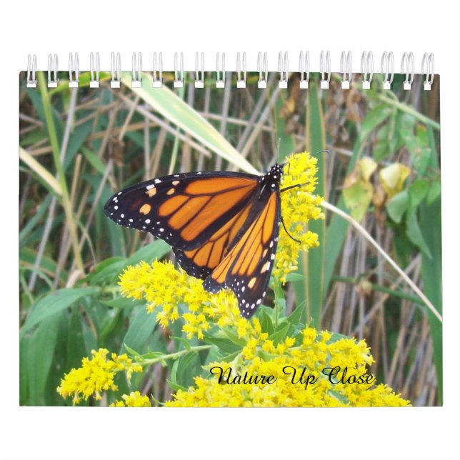 Calendrier Nature proche (Protection)