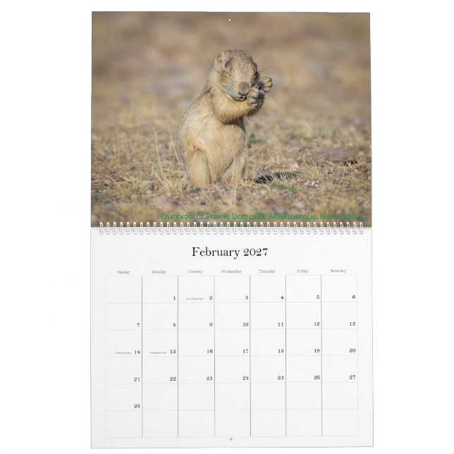 Calendrier naturel 2021 (Feb 2027)