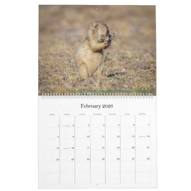 Calendrier naturel 2021 (Feb 2026)