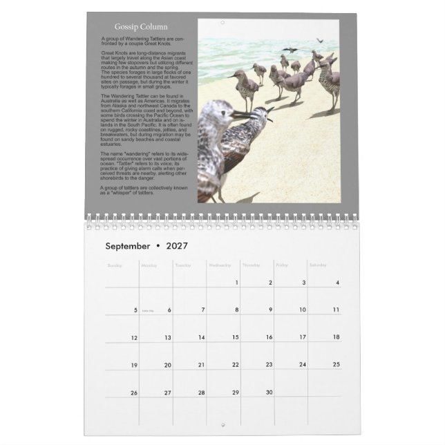Calendrier naturel des Arts numériques 3D 2020 (Sep 2027)