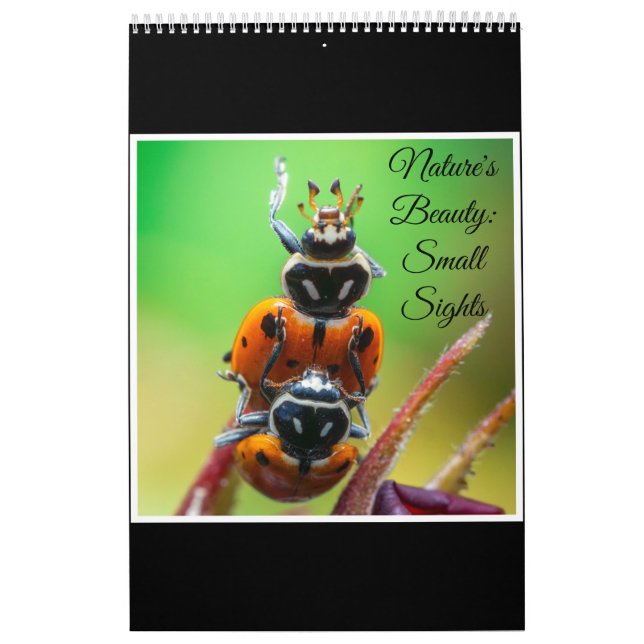Calendrier Nature's beauty: Small Sights (Protection)