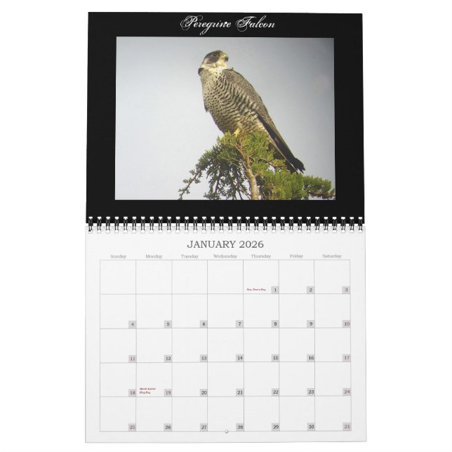 Calendrier nord-américain d'oiseaux (Jan 2026)