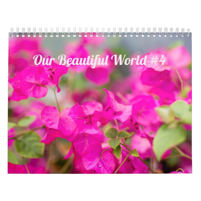 Calendrier ~ Notre merveilleux monde #4 (Protection)
