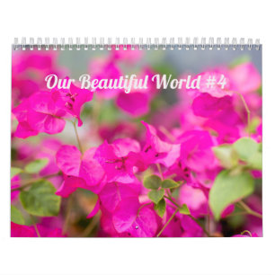 Calendrier ~ Notre merveilleux monde #4