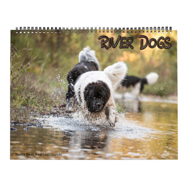 Calendrier Notta Bear Chiens de la rivière Terre-Neuve (Protection)