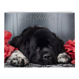 Calendrier Notta Bear Newfoundlands ShellBea