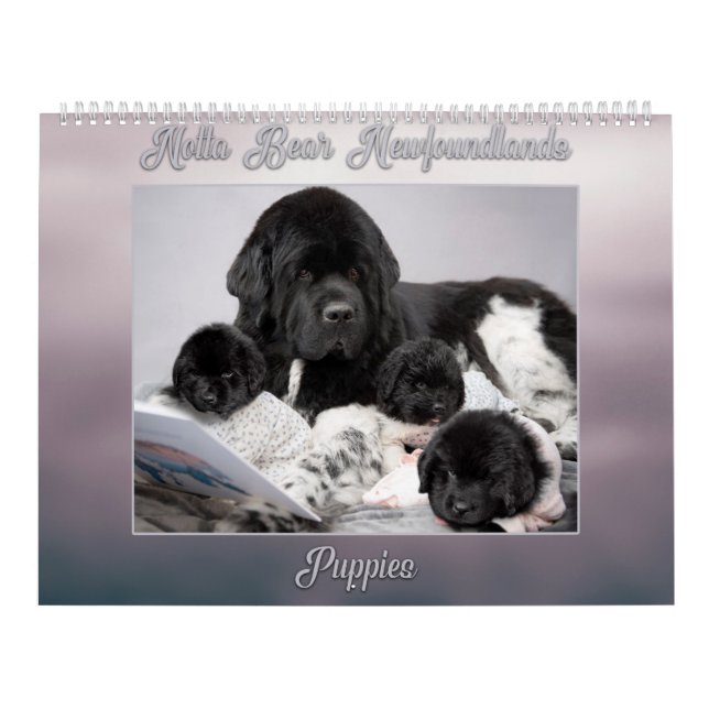 Calendrier Notta Bear Terre-Neuve Année des chiots (Protection)