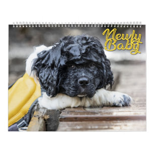 Calendrier Nouveau bébé