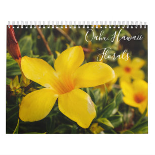 Calendrier Oahu, Hawaï, la photographie par la restauration