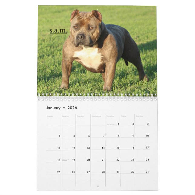 Calendrier officiel d'ÉTABLISSEMENTS de VILLE de (Jan 2026)