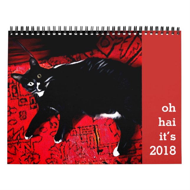 Calendrier Oh Hai (Protection)