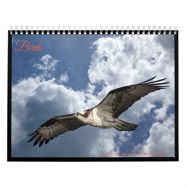 Calendrier Oiseaux (Protection)