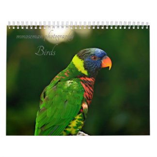 Calendrier Oiseaux