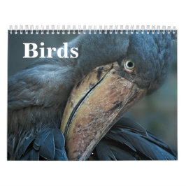 Calendrier Oiseaux 2026