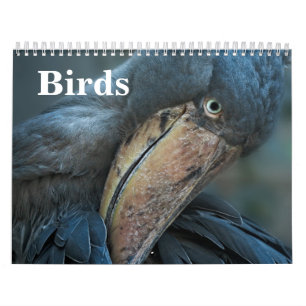 Calendrier Oiseaux 2026
