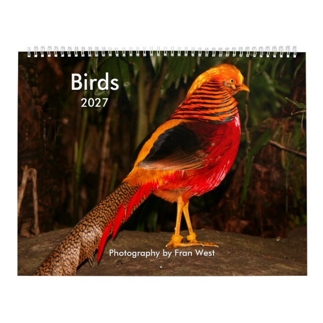Calendrier Oiseaux 2027 (Protection)