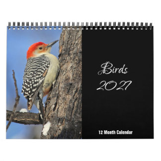 Calendrier Oiseaux 2027