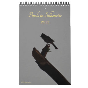 Calendrier Oiseaux à Silhouette 2026 Faune et nature Photo