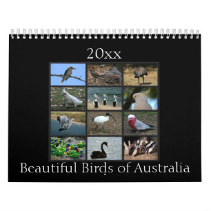 Calendrier Oiseaux australiens colorés