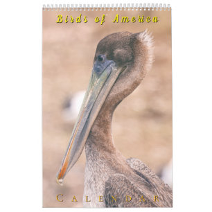 Calendrier Oiseaux d'Amérique