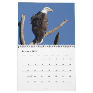 Calendrier Oiseaux d'Amérique du Nord