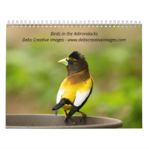 Calendrier Oiseaux dans les Adirondacks 2026